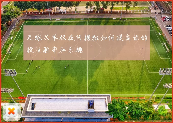 足球买单双技巧揭秘如何提高你的投注胜率和乐趣