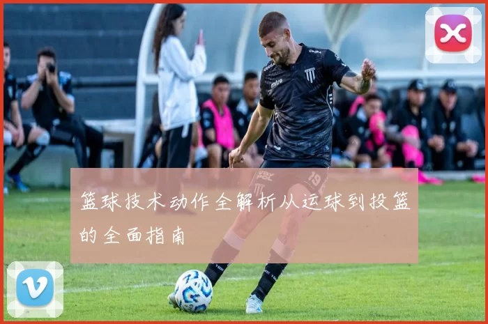 篮球技术动作全解析从运球到投篮的全面指南