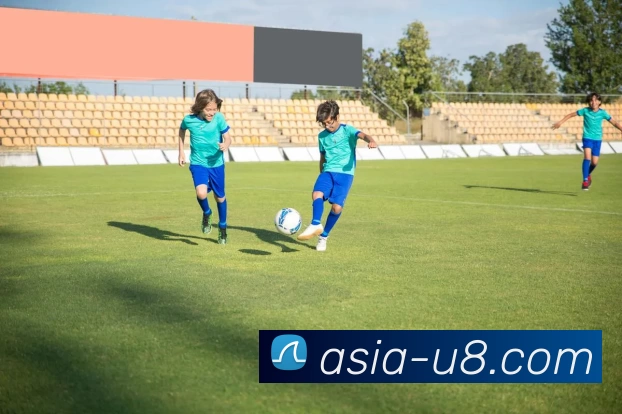 U8国际服务体系